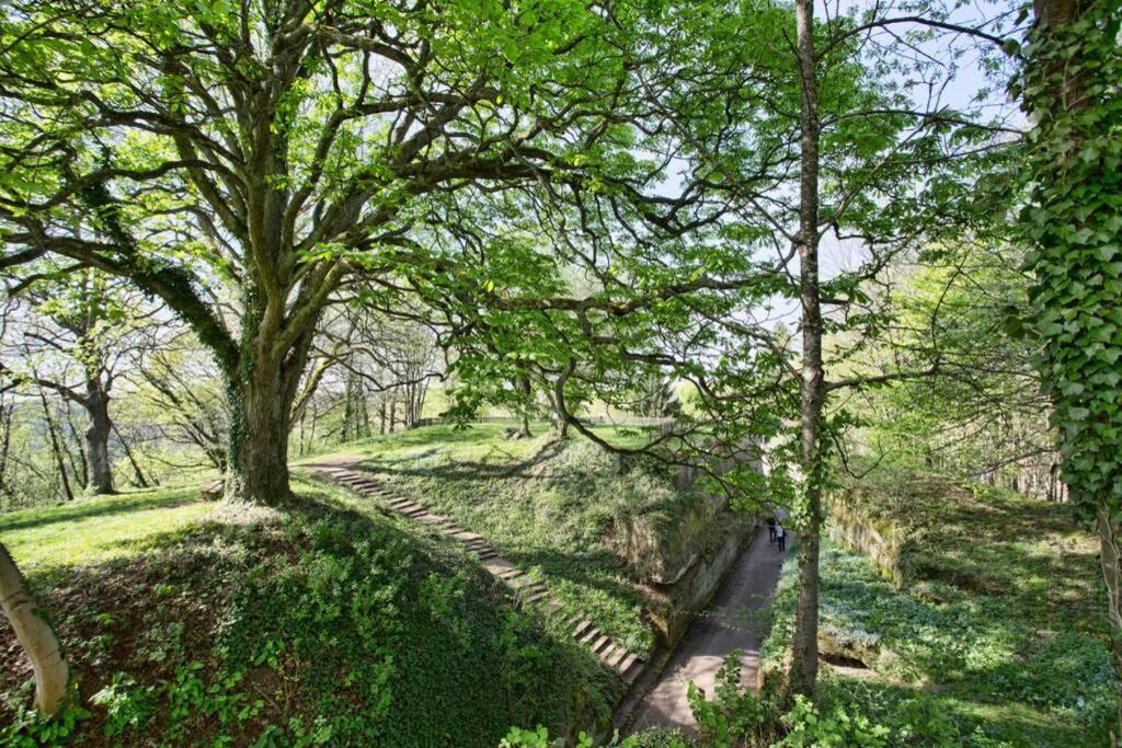 Maison Privilege Nature A La Petite Pierre エクステリア 写真