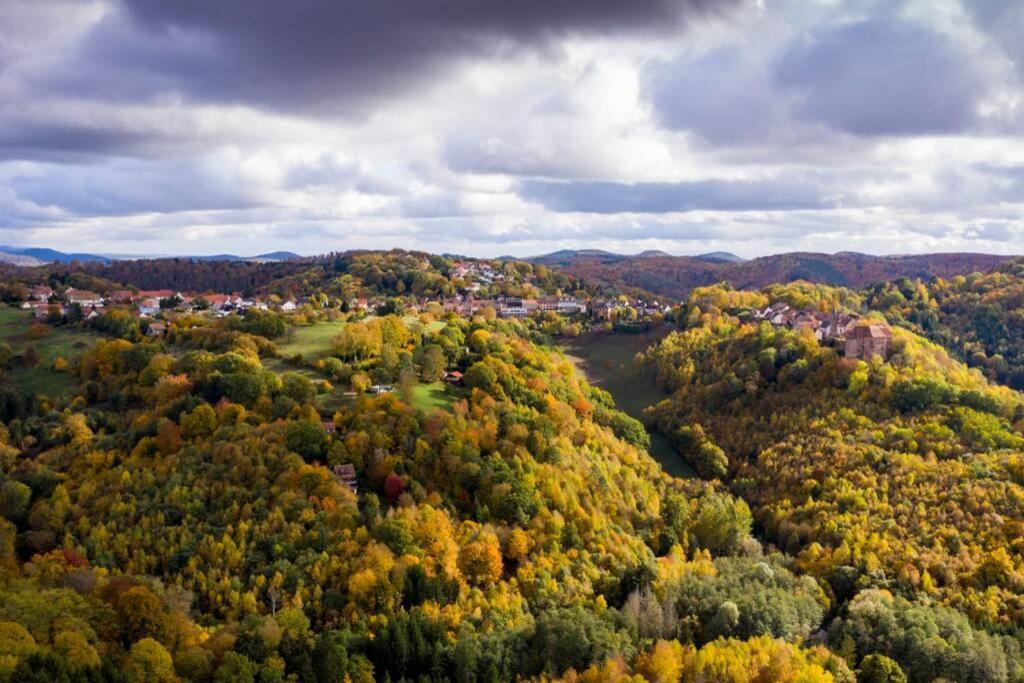Maison Privilege Nature A La Petite Pierre エクステリア 写真