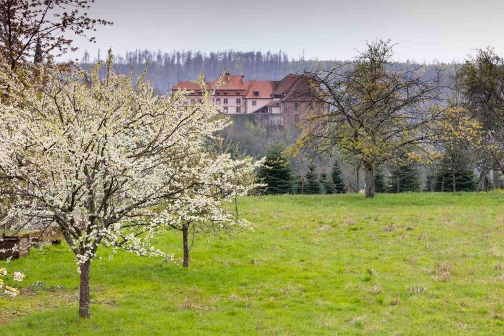 Maison Privilege Nature A La Petite Pierre エクステリア 写真