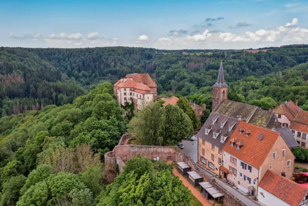 Maison Privilege Nature A La Petite Pierre エクステリア 写真