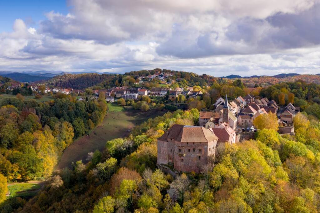 Maison Privilege Nature A La Petite Pierre エクステリア 写真