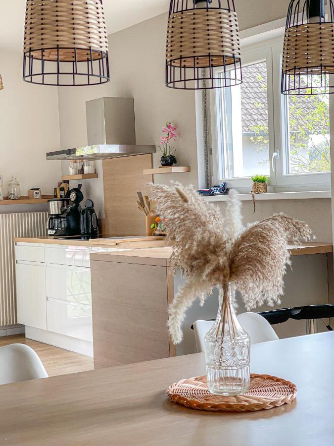 Maison Privilege Nature A La Petite Pierre エクステリア 写真